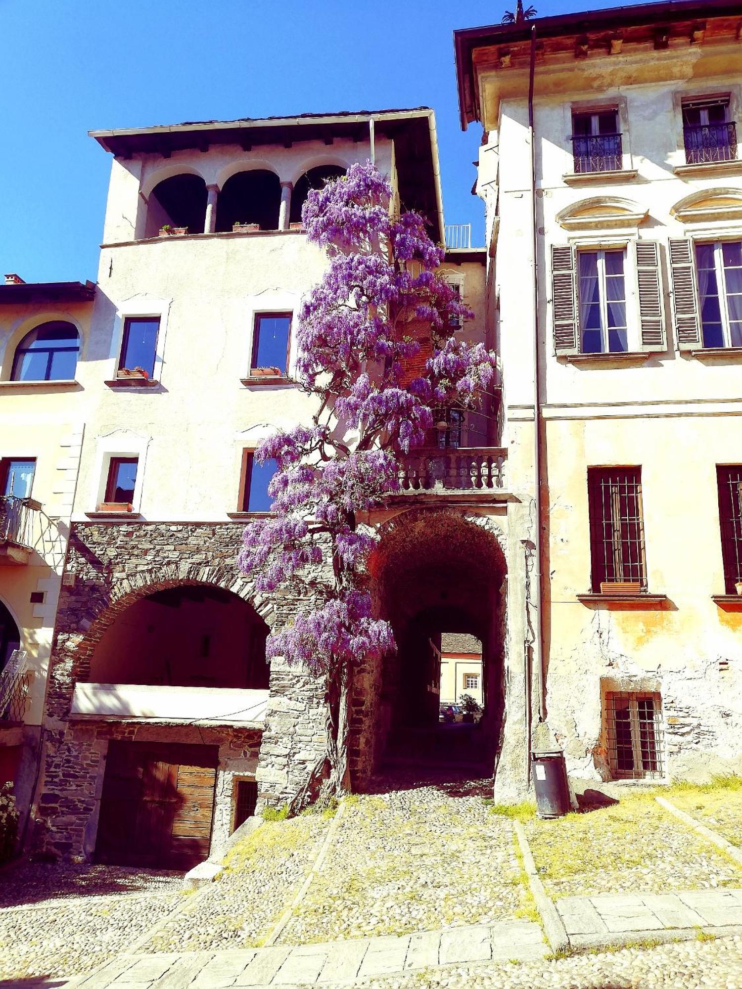 Casa Longhi Lägenhet Orta San Giulio Exteriör bild